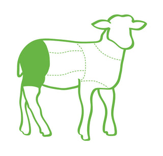 Lamb Boneless Leg Carcass Illustration with a highlighted area on a white background