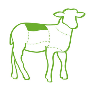 Lamb Boneless Loin Carcass Illustration with a highlighted area on a white background