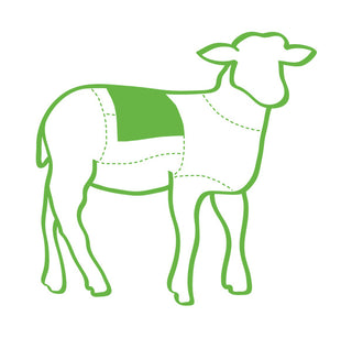 Lamb Frenched Rack Carcass Illustration with a highlighted area on a white background