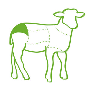 Lamb Rump Carcass Illustration with a highlighted area on a white background