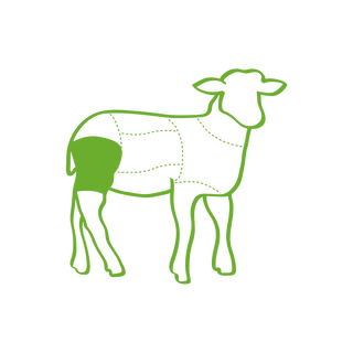 Lamb Carcass Illustration for Lamb Steaks