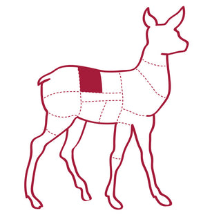 Venison Boneless Short Loin Carcass Illustration with a highlighted area on a white background