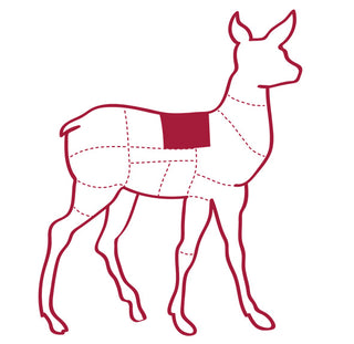 Venison Frenched Rack Carcass Illustration with a highlighted area on a white background