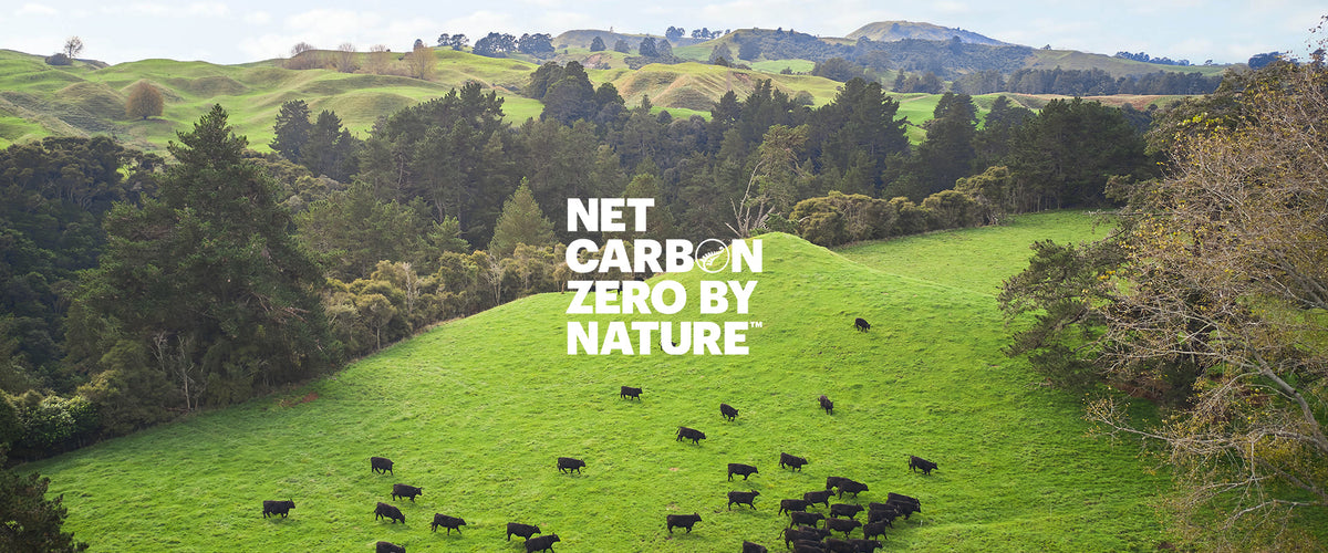 Net Carbon Zero by Nature with New Zealand landscape and angus cow roaming freely on green grass