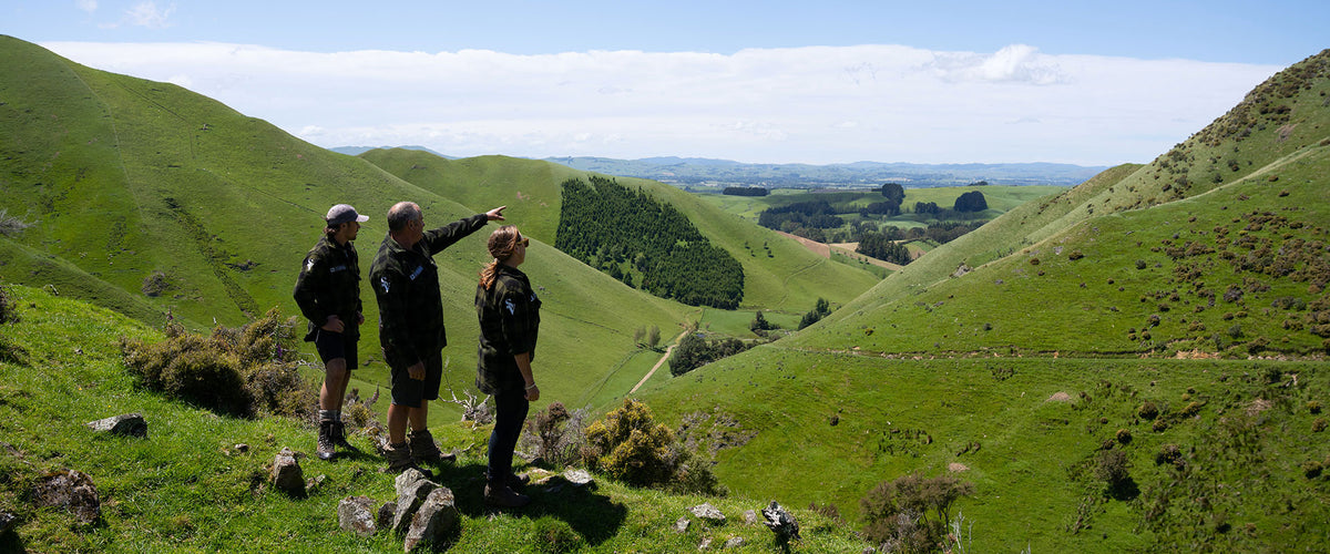 Three people standing on a grassy hill with a scenic view of rolling hills and trees.